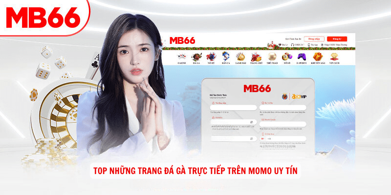 Top những trang đá gà trực tiếp trên momo uy tín